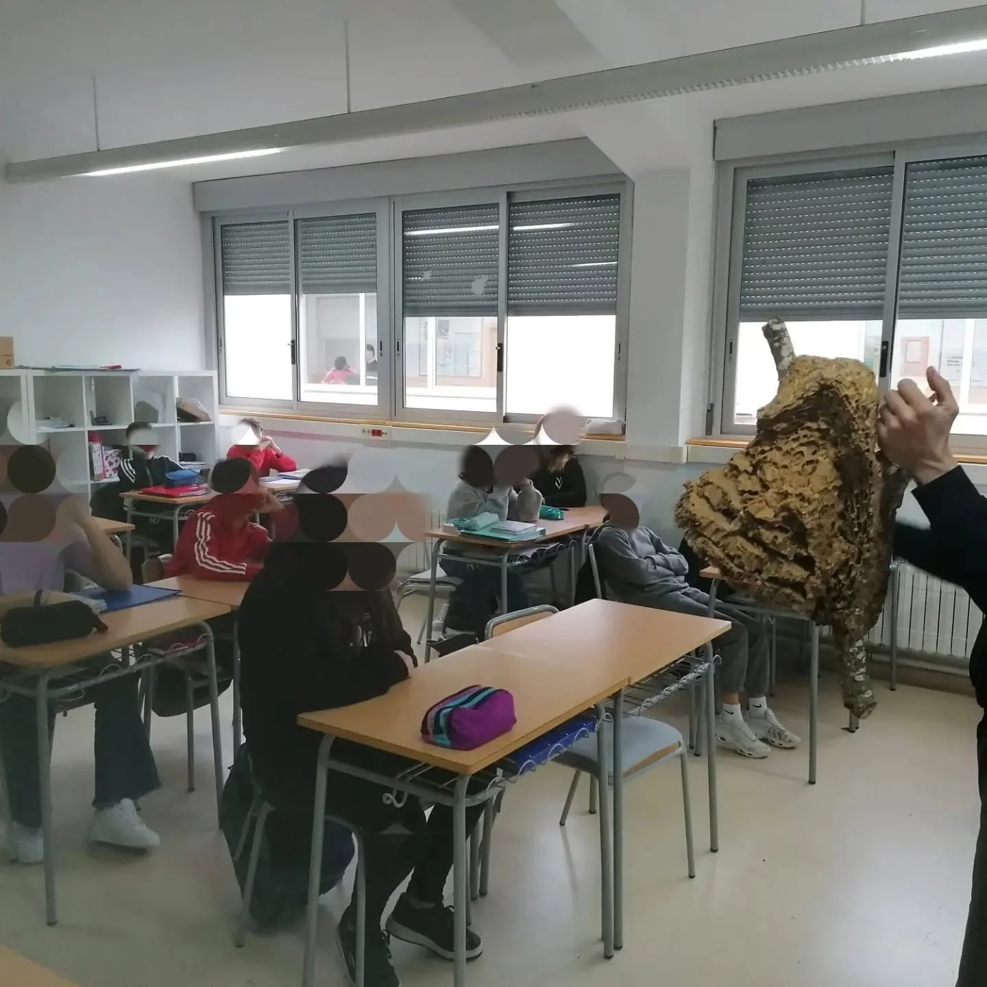 Taller sobre vespes En una aula, un educador mostra un niu a alumnes.